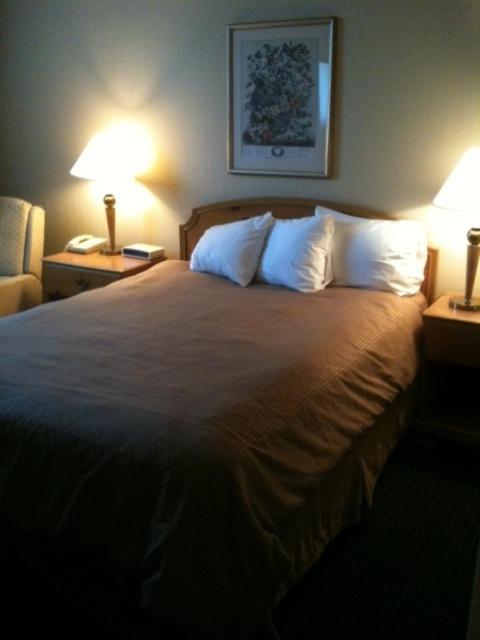 Carol Hotel Omaha Rum bild
